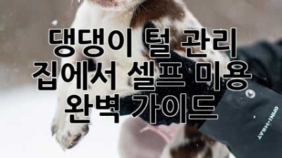 댕댕이 털 관리: 집에서 셀프 미용 완벽 가이드🐶